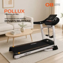 Pollux
