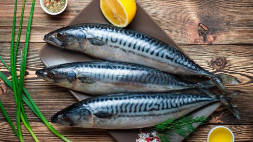 Kandungan Protein dalam Ikan Sarden