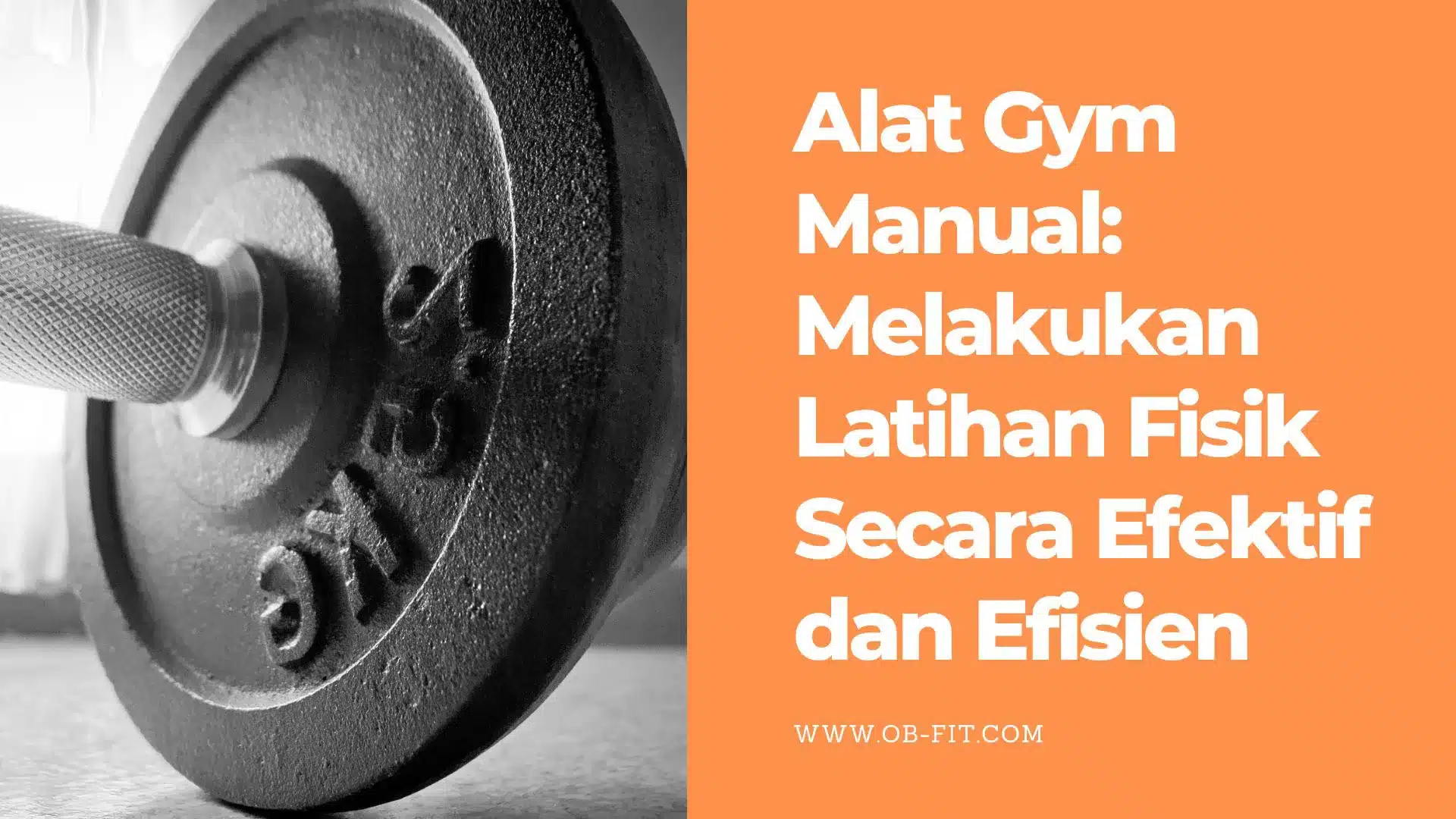 Alat Gym Manual Melakukan Latihan Fisik Secara Efektif dan Efisien