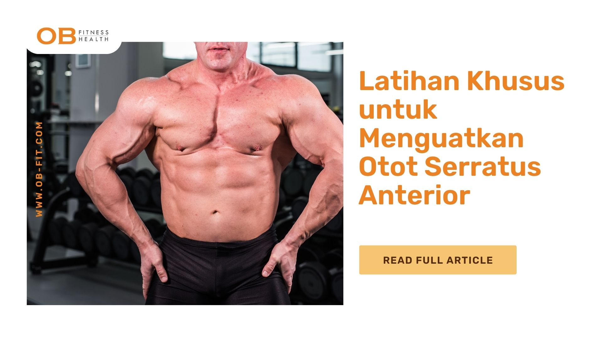 Latihan Khusus untuk Menguatkan Otot Serratus Anterior