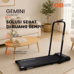 Gemini